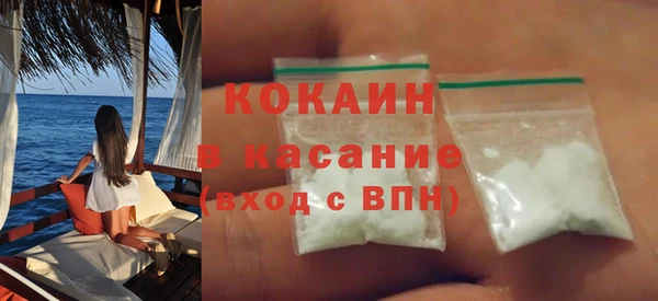 сатива Няндома