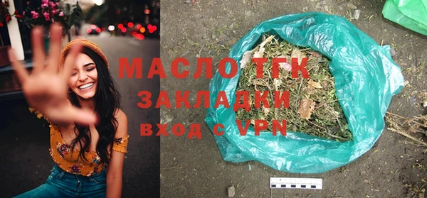 сатива Няндома