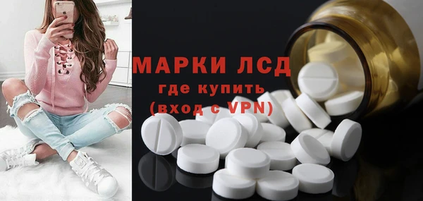 ПСИЛОЦИБИНОВЫЕ ГРИБЫ Новозыбков