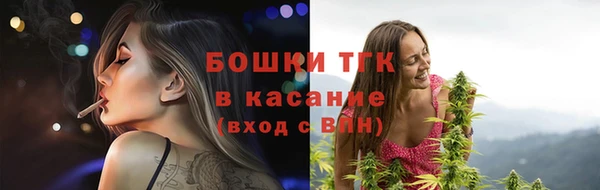 ПСИЛОЦИБИНОВЫЕ ГРИБЫ Новозыбков