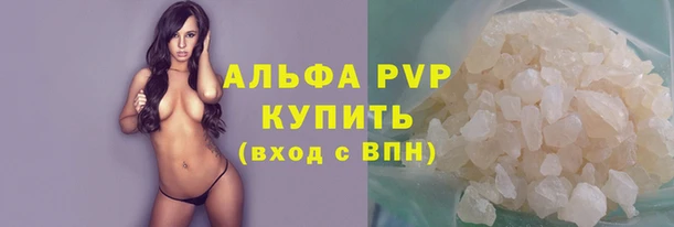 сатива Няндома