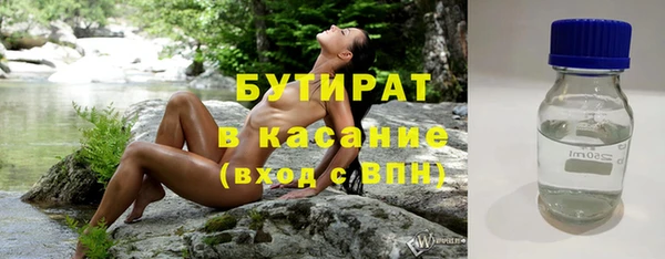 сатива Няндома