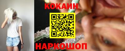 винт Донецк