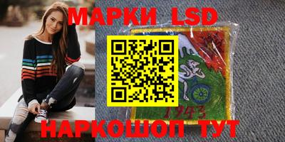 шишки Донской