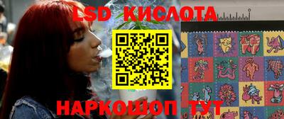 шишки Донской
