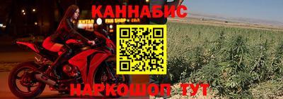 шишки Донской