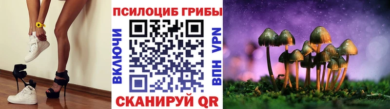 Галлюциногенные грибы мицелий  Кушва 
